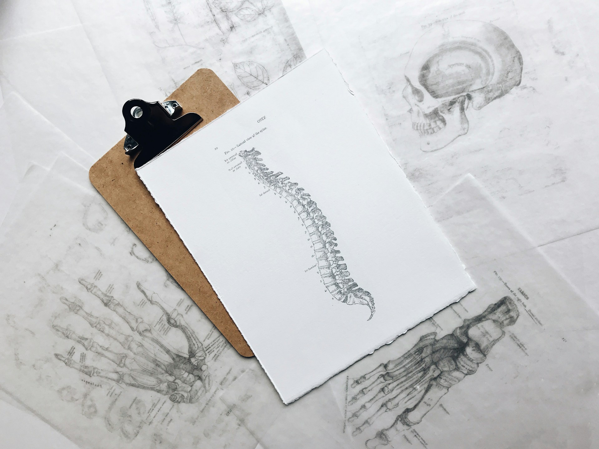 Disc Injury Treatment