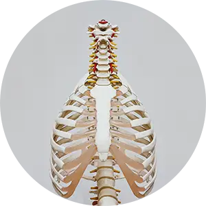 Spinal Curve Correction Newark DE Near Me